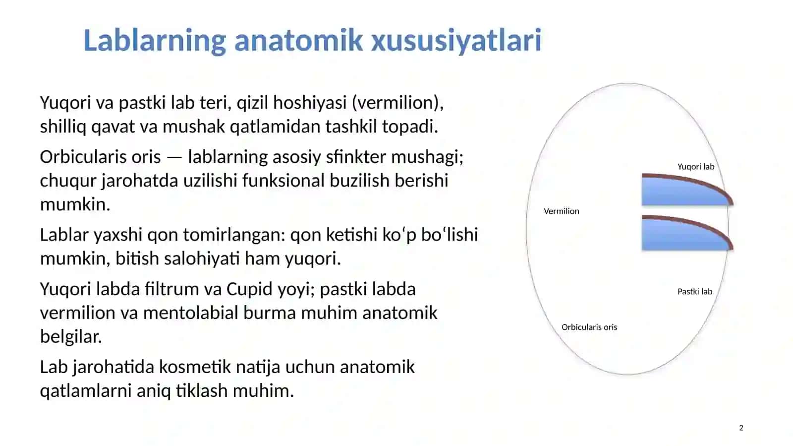 MAVZU:YUQORIVA PASTKI LAB JAROHATLARI 2