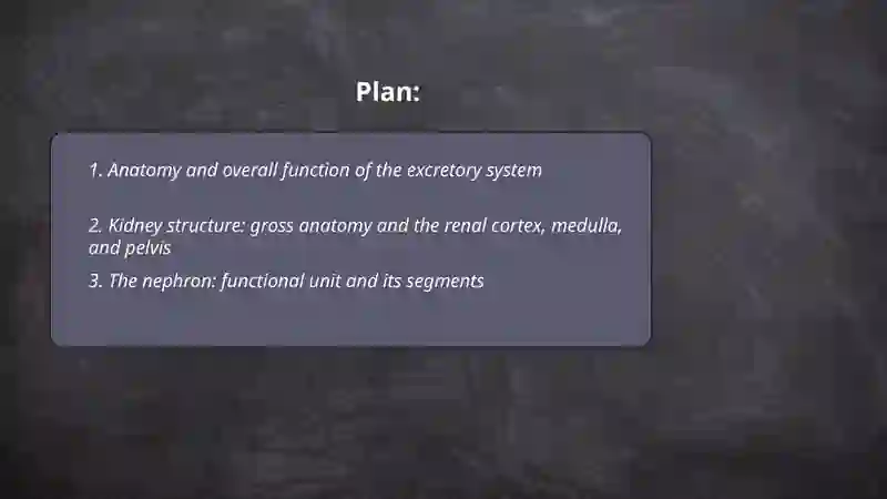 Extartory system 2