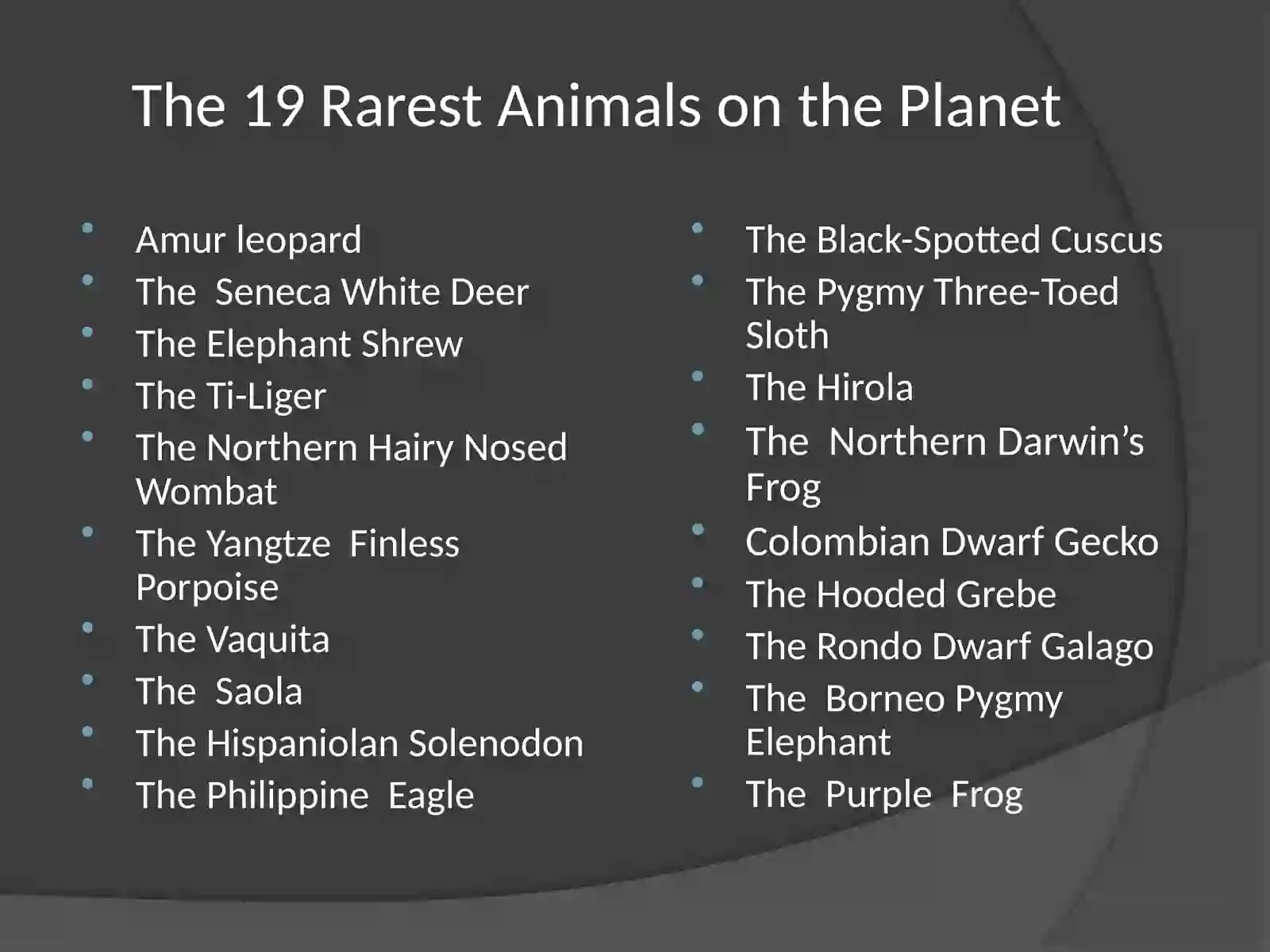 Rarest Animals on the Planet 2