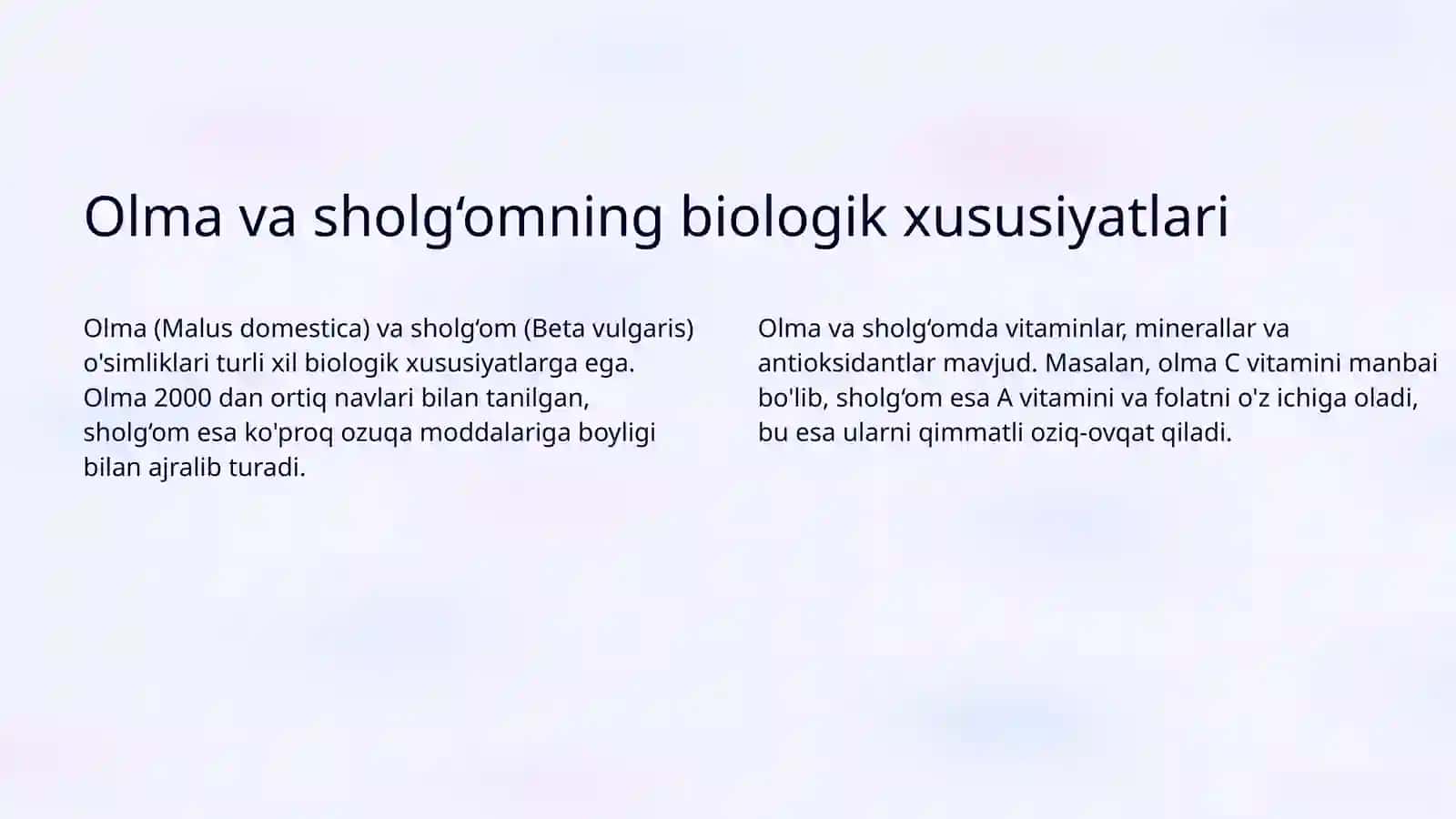 Olma va sholg‘omni quritish texnologiyalasi 3