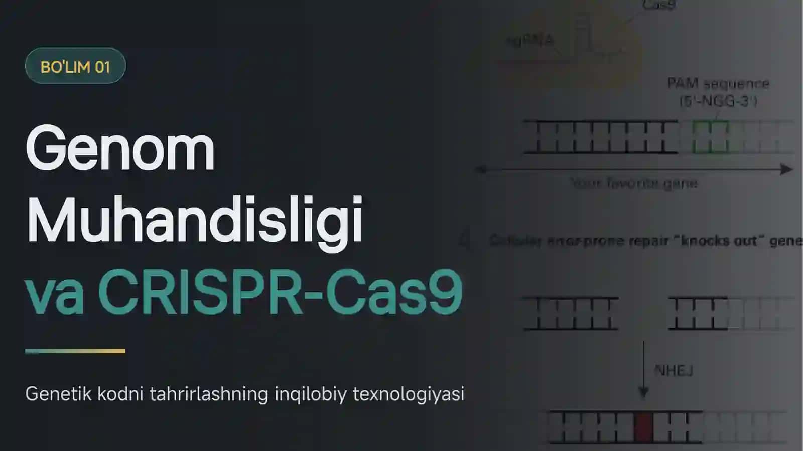 Zamonaviy biotexnologiyalar 3