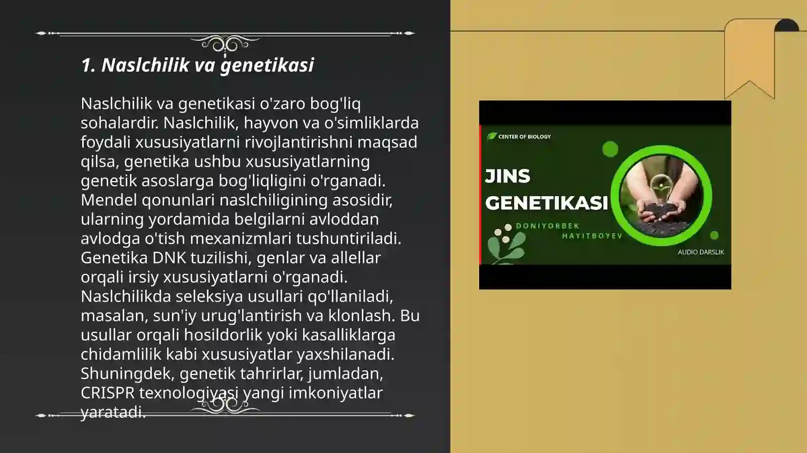 Preview 3