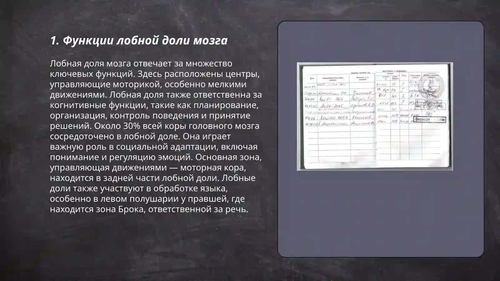 Изучение деятельности разных участков мозга 3