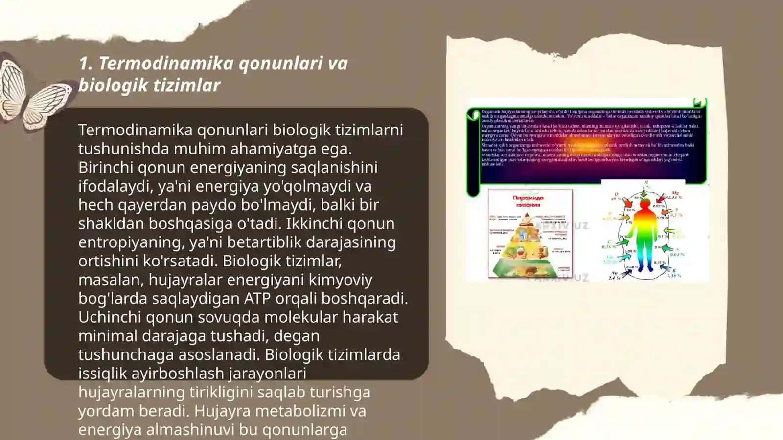 Termodinamika qonunlarini tirik organizmga tadbiqini o'rganish 3