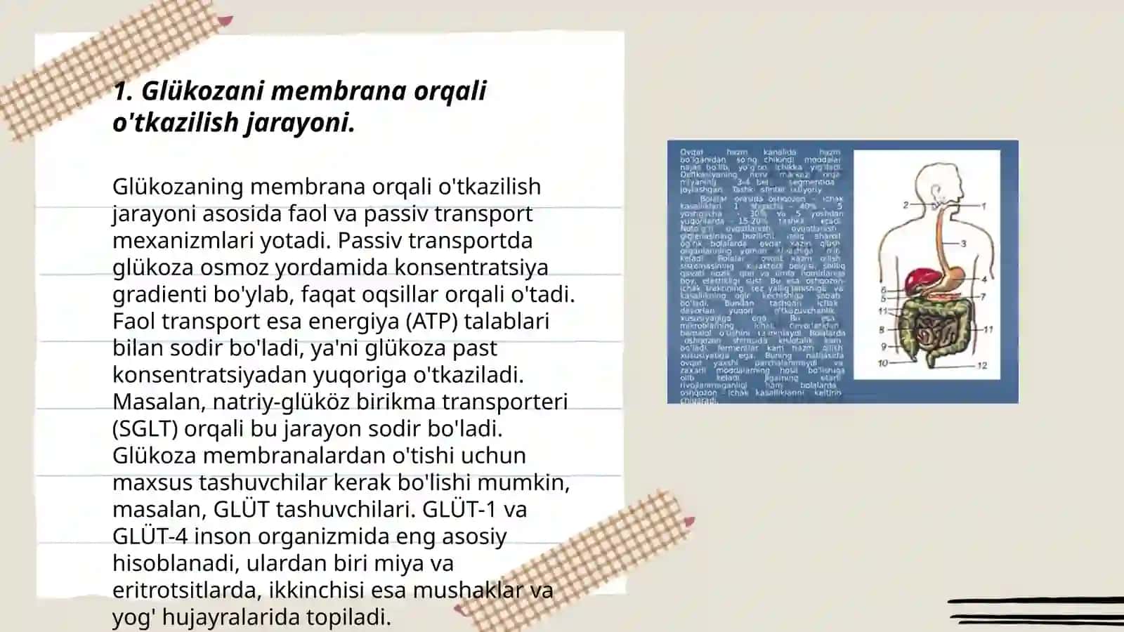 Glükozani membrana orqali òtkazilishi 3