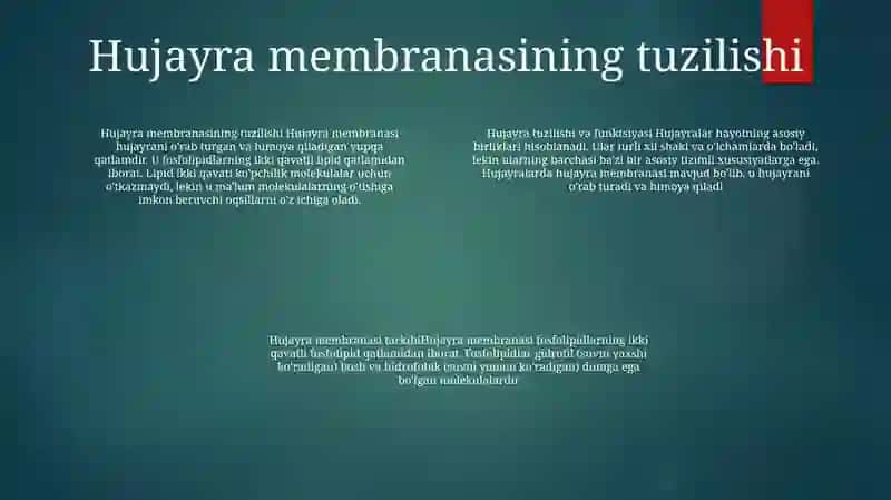 Hujayra Va Organellalarning Morfologik Jihatdan Tuzilmaviy Asosi 3