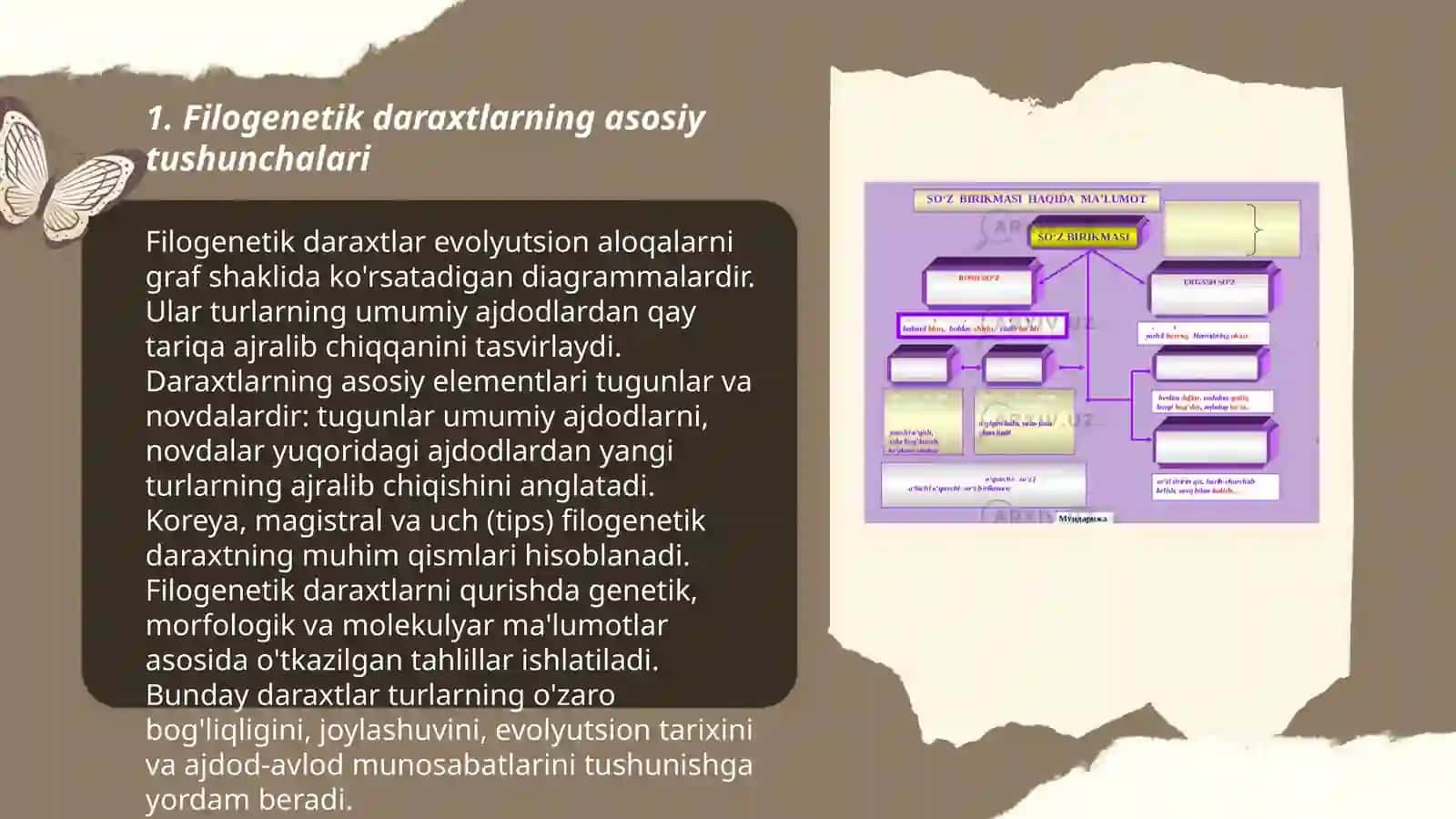 Filogenetik daraxtga oid masala va mashqlar tuzish va tuzish metodikasiga doir taqdimot 3