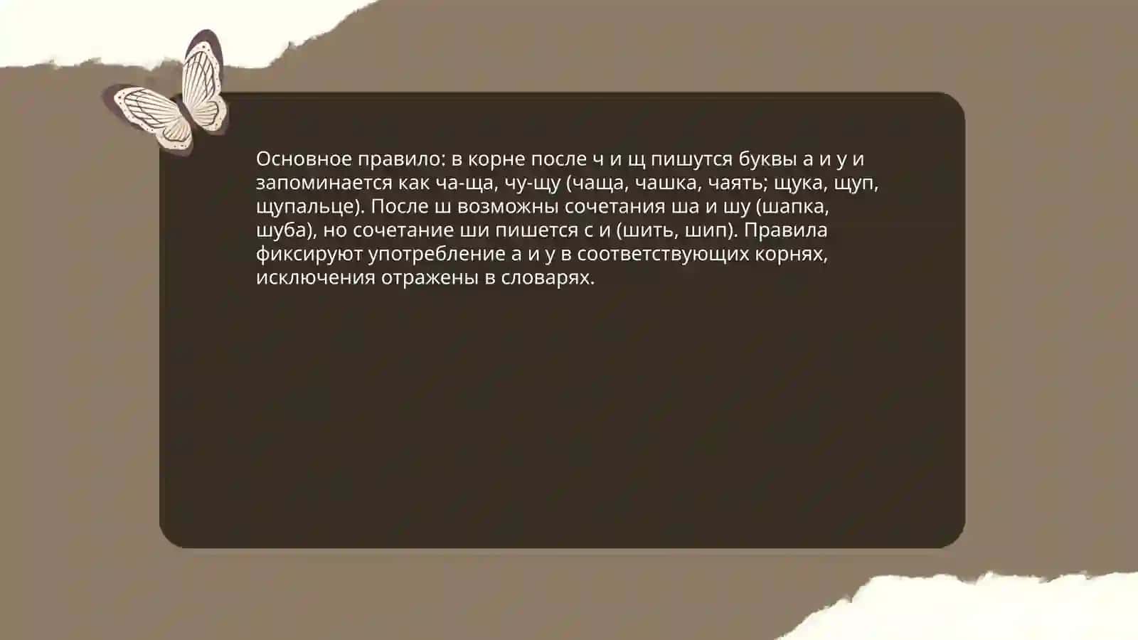 Правописание букв а, у после шипящих ш,ч,щ, и Правописание букв и, ы после шипящих ж,ш,ч,щи ц 3