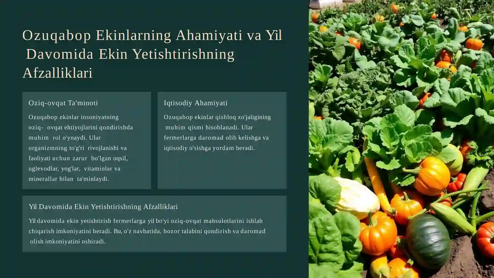 Yil davomida  ozuqabop ekinlaryetishtirishning  biologik asoslari 3