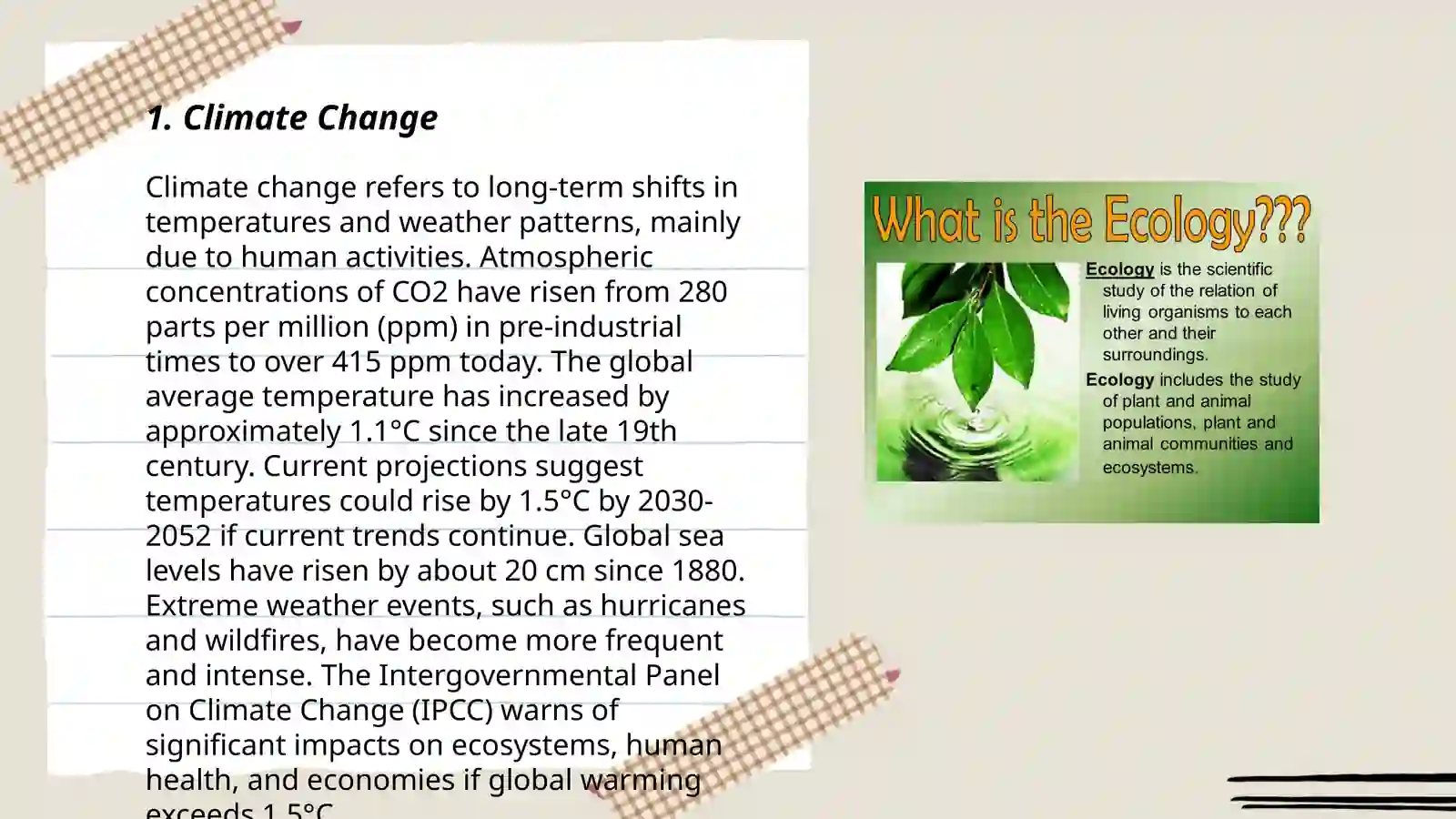 Ecological problems 3
