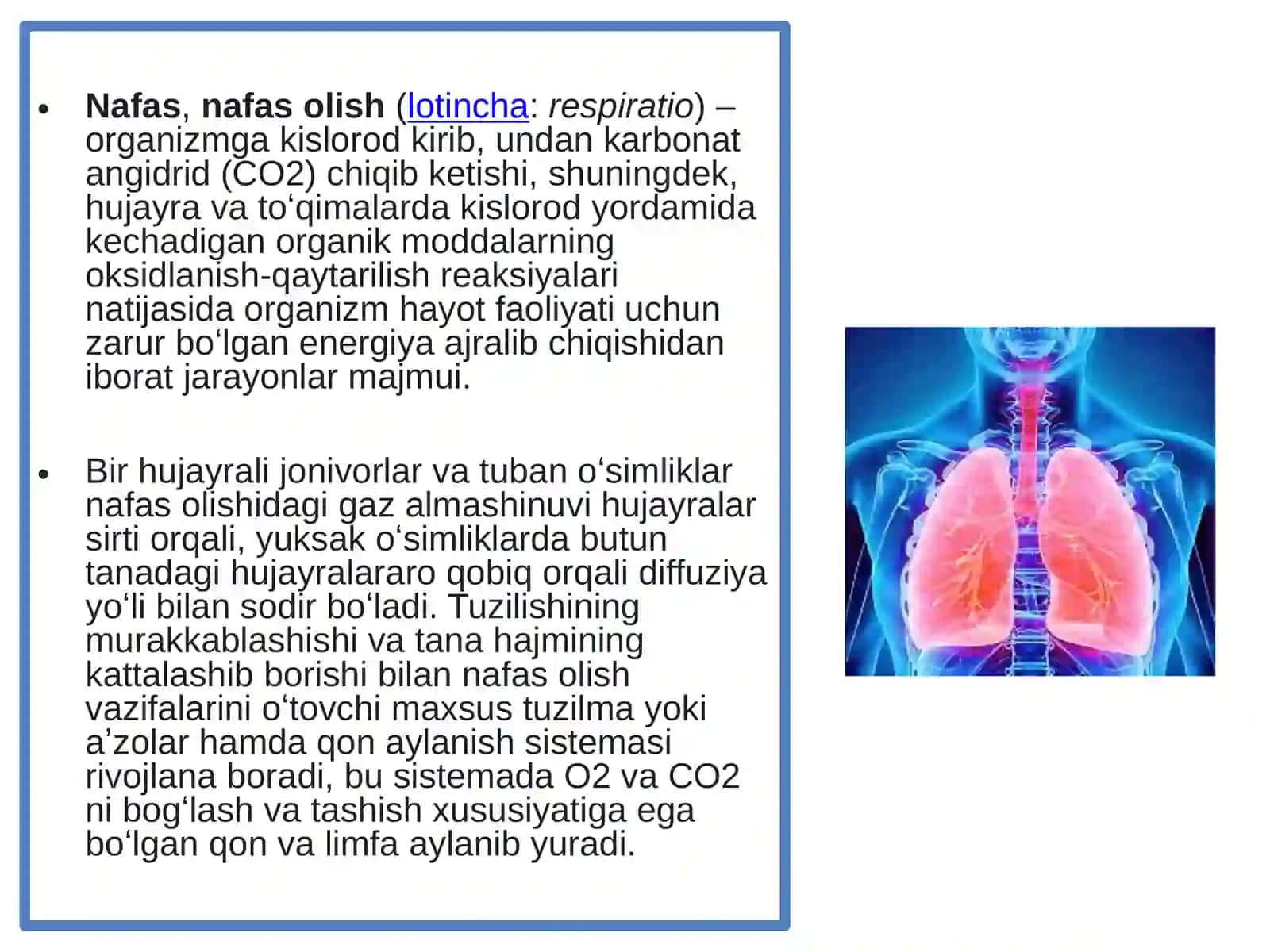 Nafas olishtizimi 3