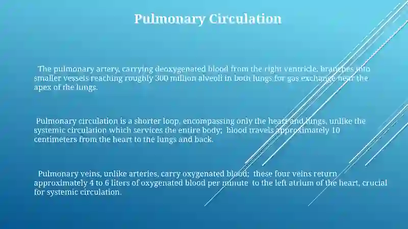 Circulatory system 3