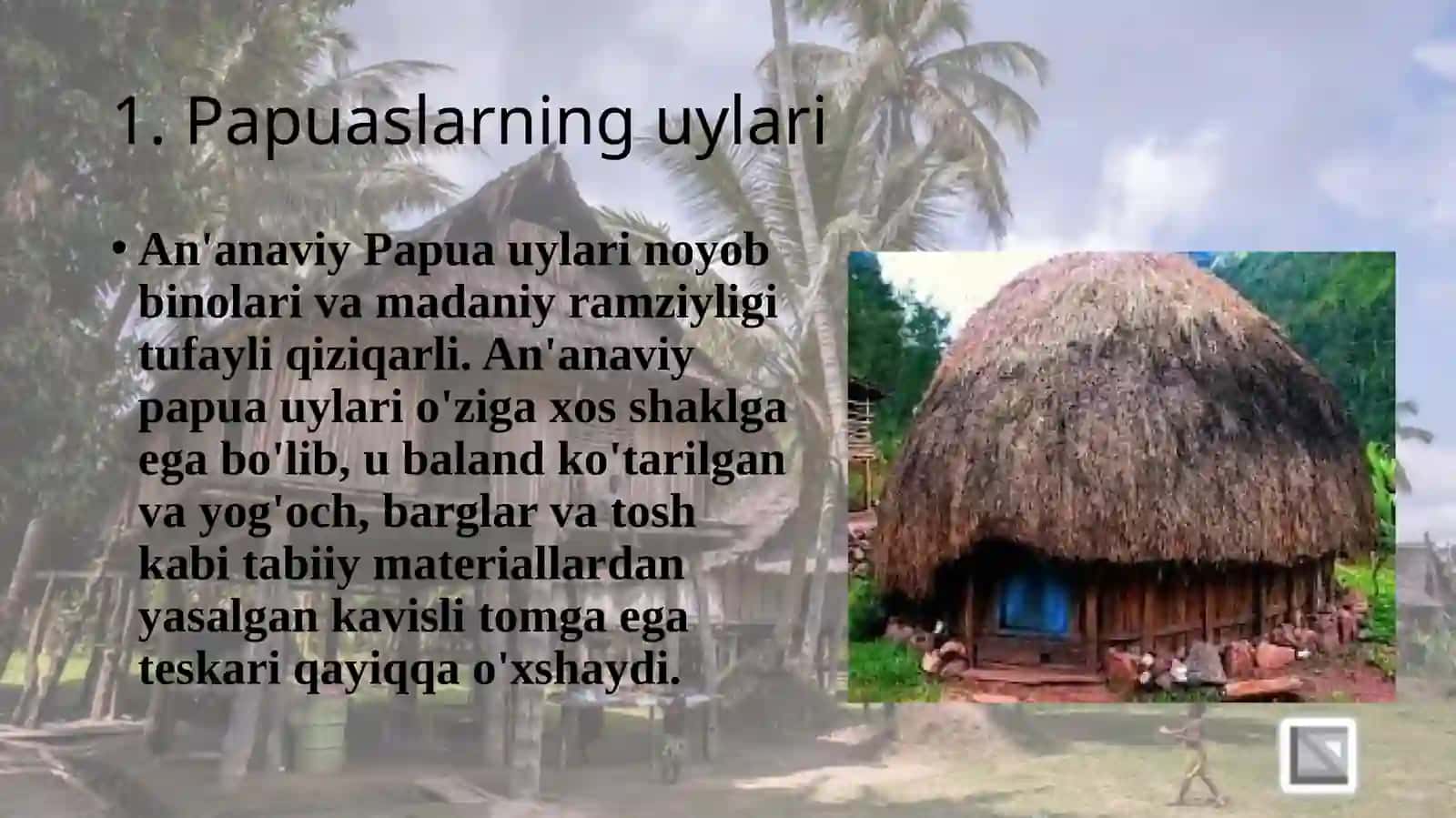 Papuaslarning turar joylaridagi transformatsiyalar 3