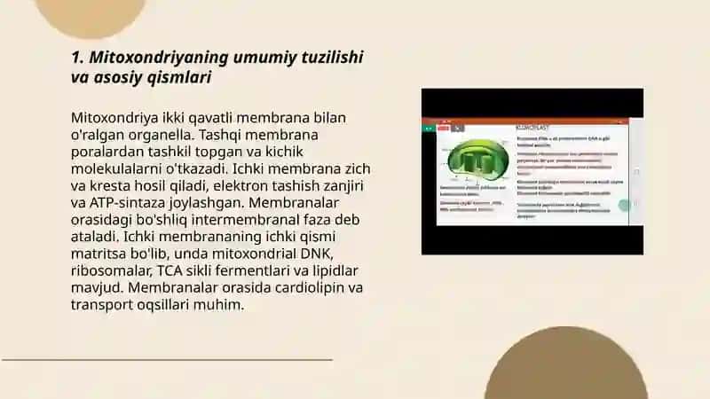 Sitoplazma organoidlari-mitoxondriya va plastida, sentrosoma, mikronaychalarning tuzilishi 3