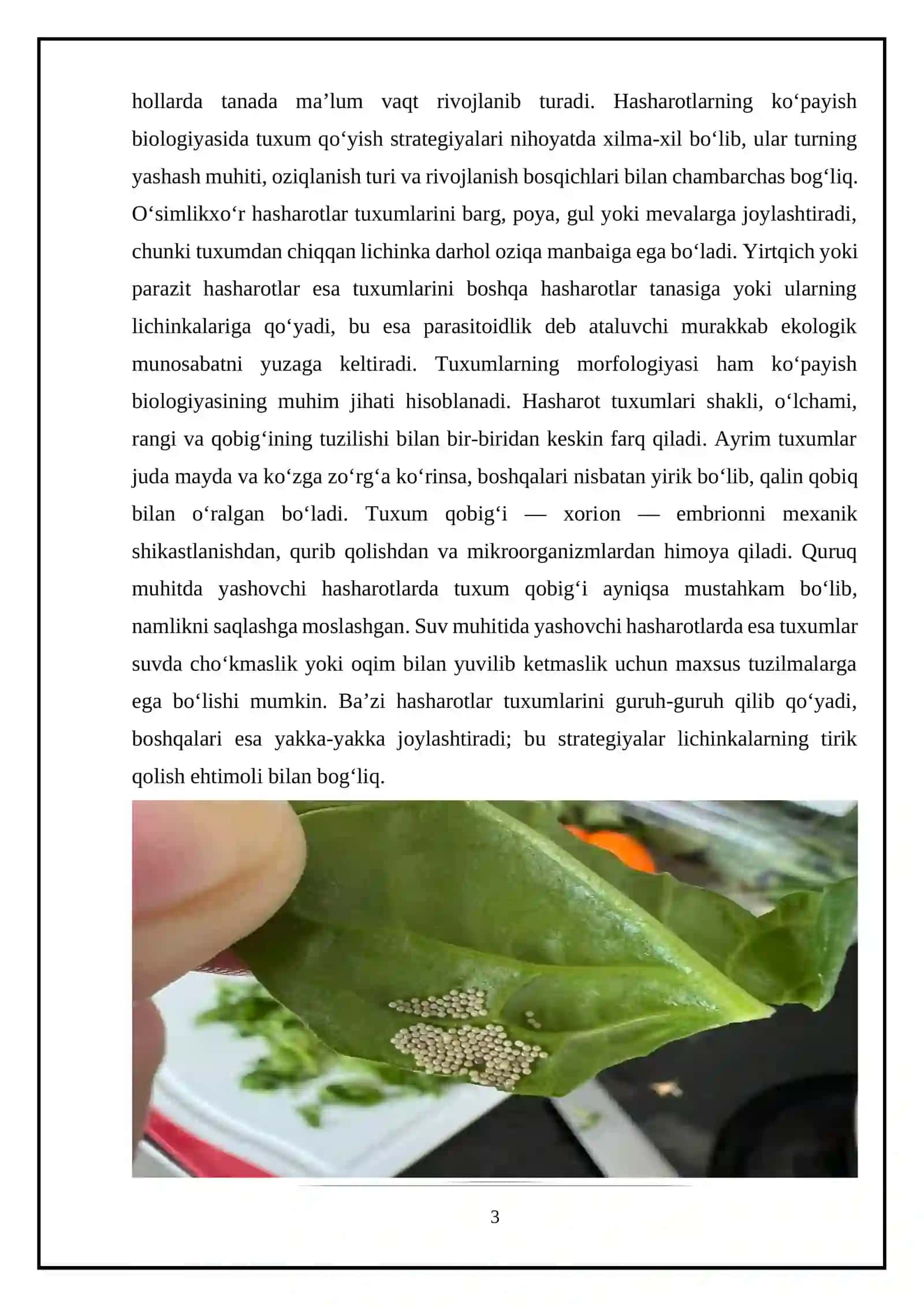Hasharotlarning ko‘payishi va rivojlanish biologiyasi 3