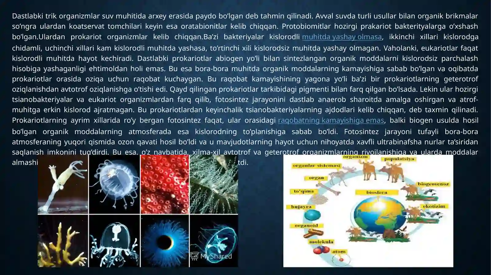 Hujayrali va ko‘p hujayrali organizmlarning kelib chiqishi 3