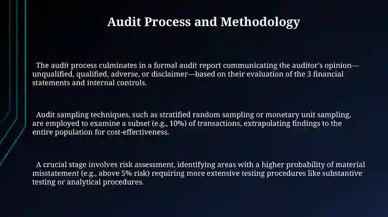 Audit Process and Methodology 3