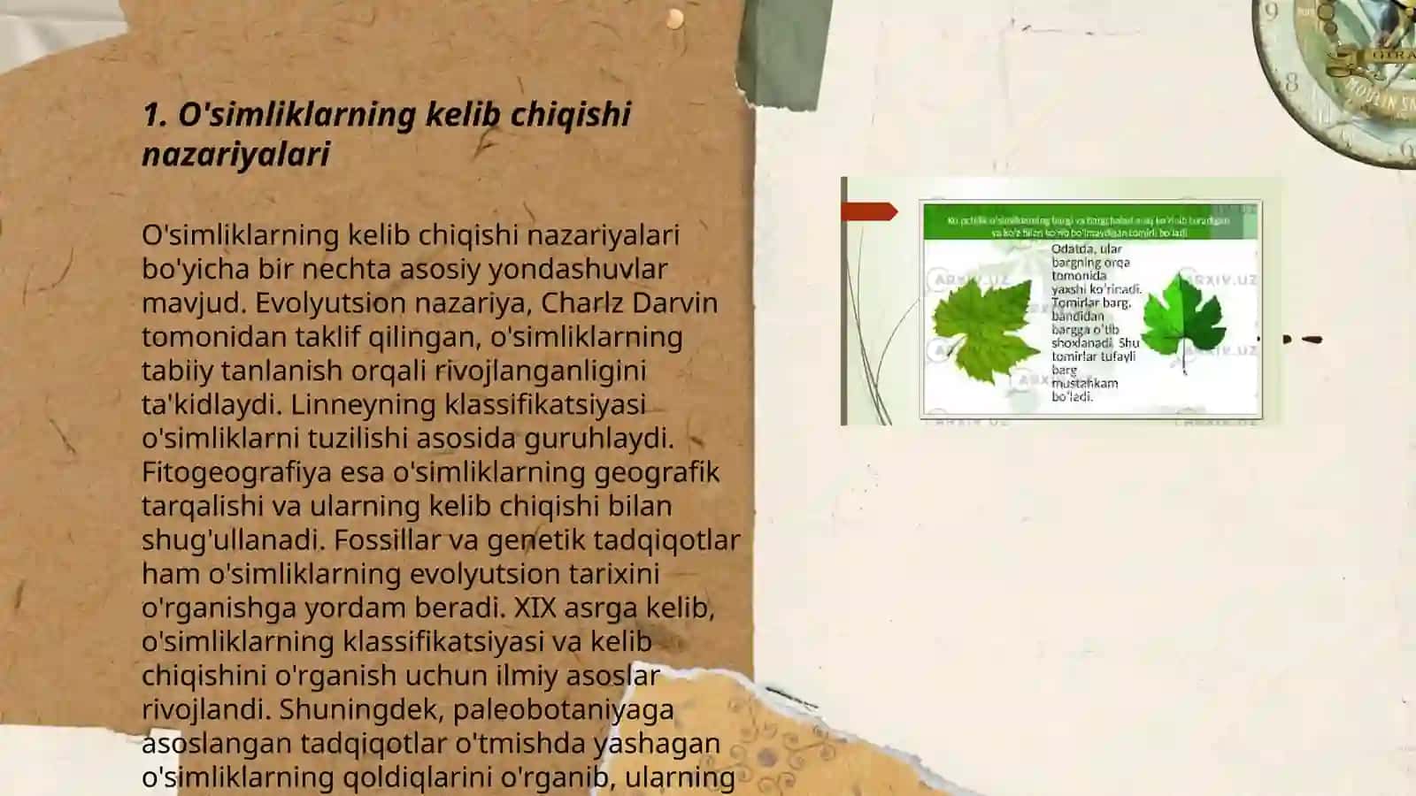 O'simlik kelib chiqishi va hujayraviy tuzilishi 3