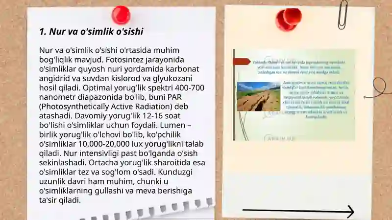 Oʻsimlik oʻsishi rivojlanishi hosili va uning sifatiga taʼsir qiladigan omillar 3