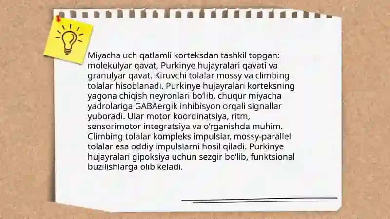Miyachada neyronlararo aloqalar.Miyacha Purkinye hujayralarining tashqi taʼsirlarga va gipoksiyaga reaksiyalari 3