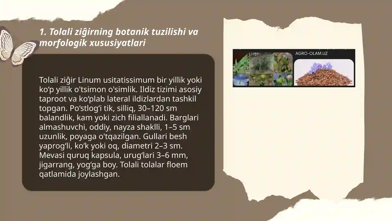 Tolali ziĝir biologiyasi va yetishtirish texnologiyasi 3