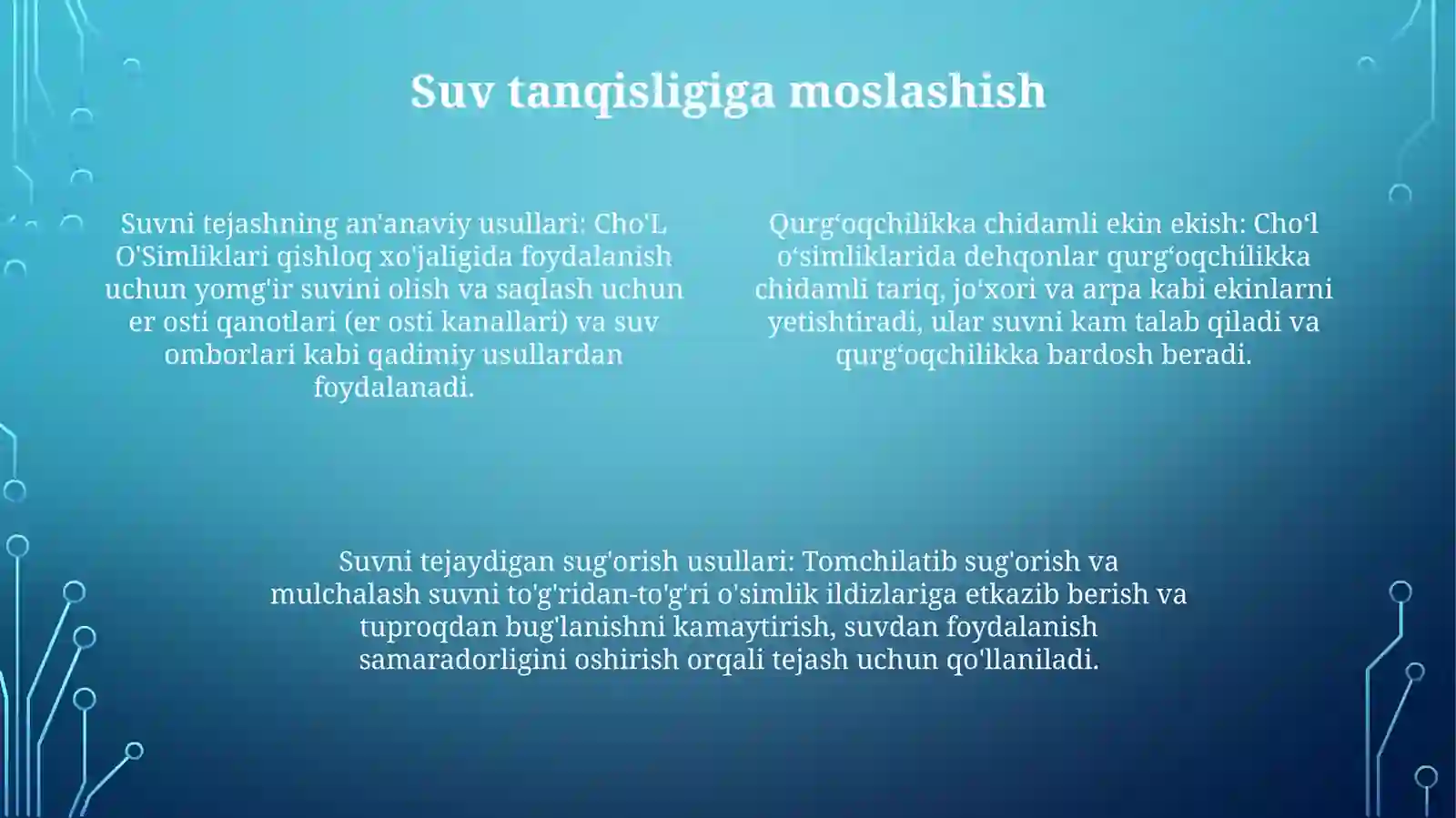 Cho‘L O‘Simliklari 3
