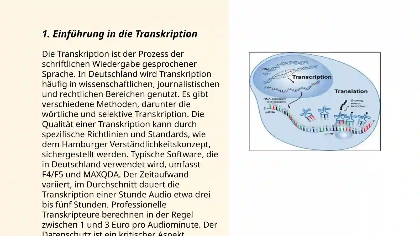 Transkription eines Werbespots Abduhalilova Muqaddasxon 3