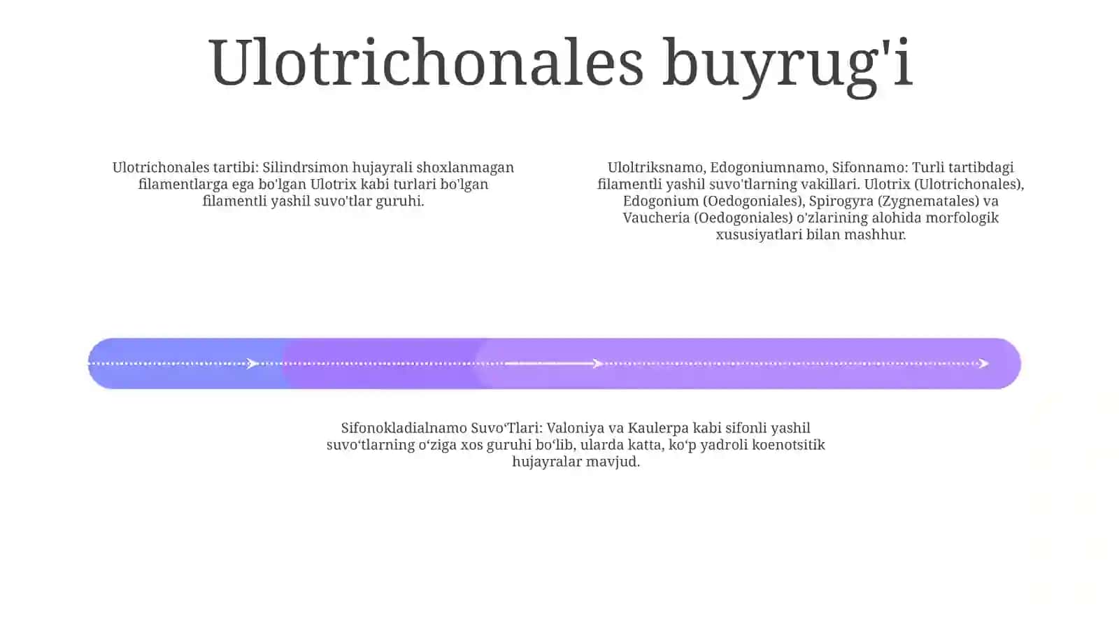 Uloltriksnamo,Edogoniumnamo,Sifonnamo Va Sifonokladialnamo SuvoʻTlari Tartiblari Va UlarningVakillariniÒrganish 3