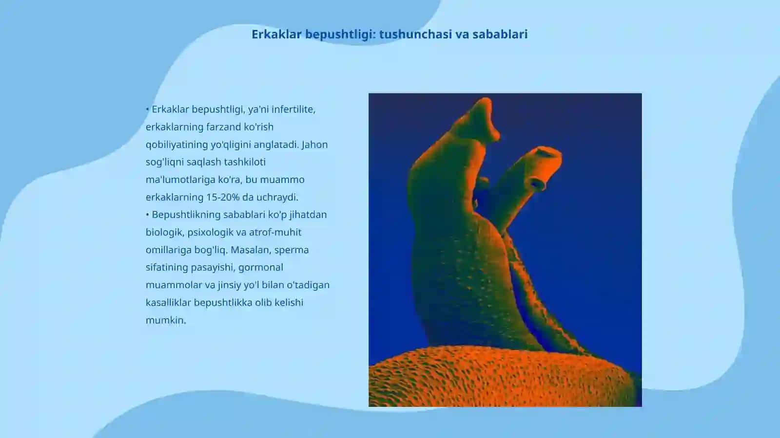 Erkaklar bepushtligi va varekatsele kasaliklari kengaytirilgan xolda pdf qilish 3
