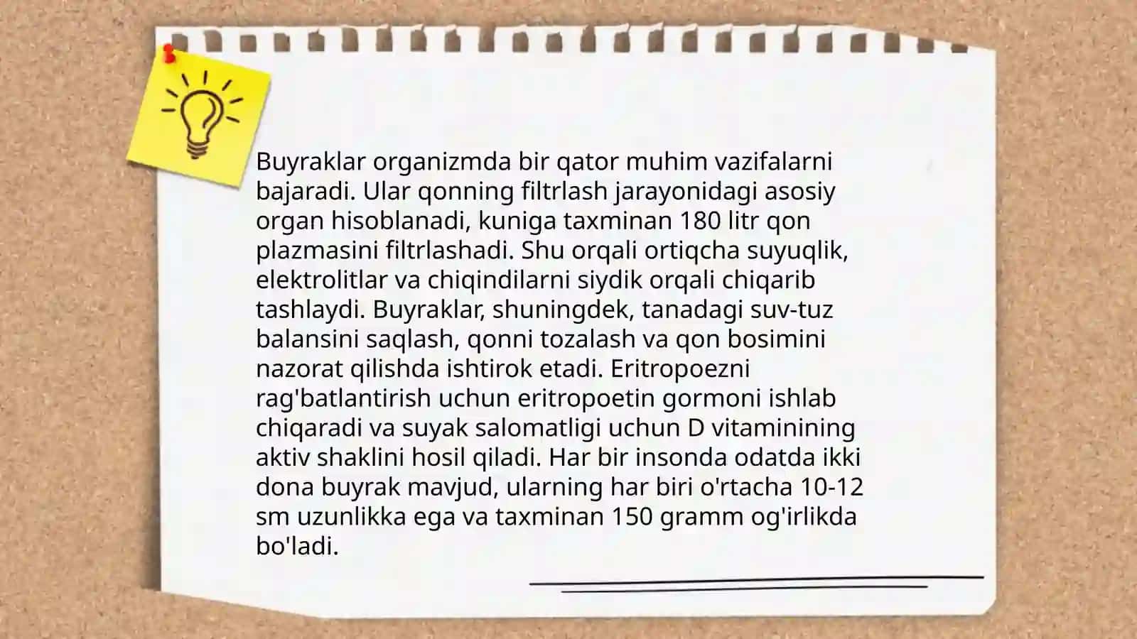 Buyrak kasalliklari patofiziologiyasi 3