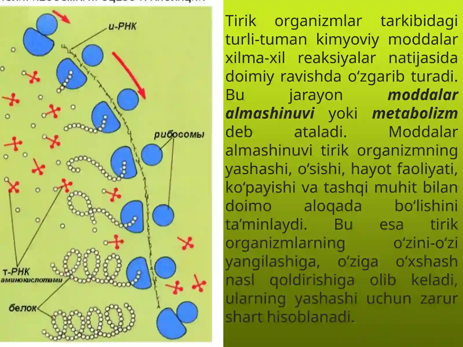 Moddalar almashinuvi 3