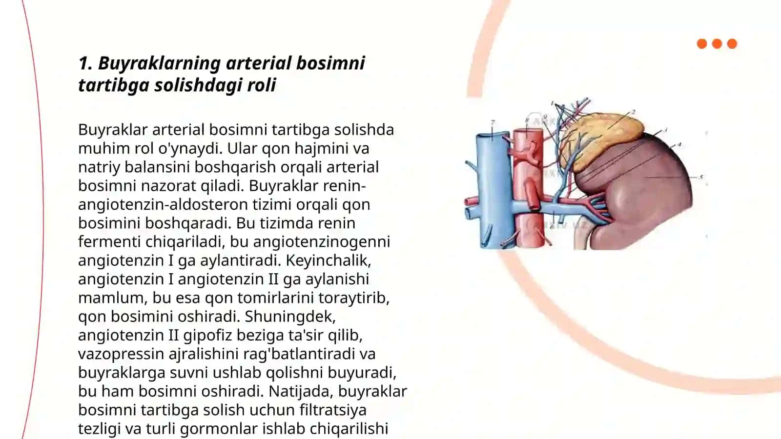 Buyraklarning Arterial Bosimni Tartibga Solishdagi Roli 3