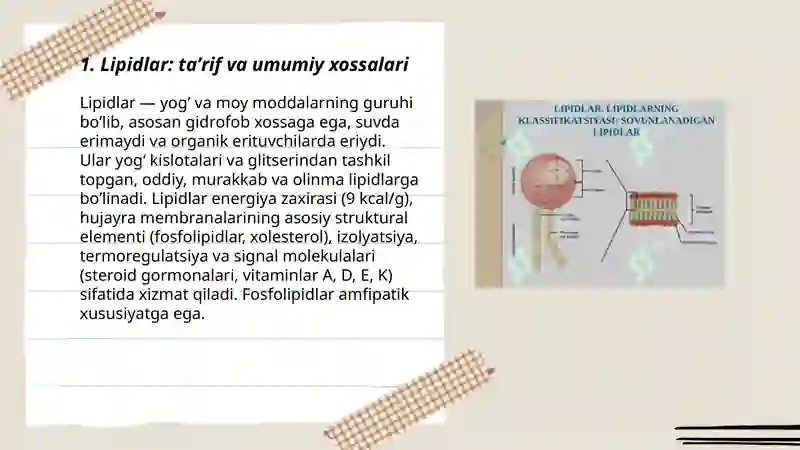 Lipidlar 3