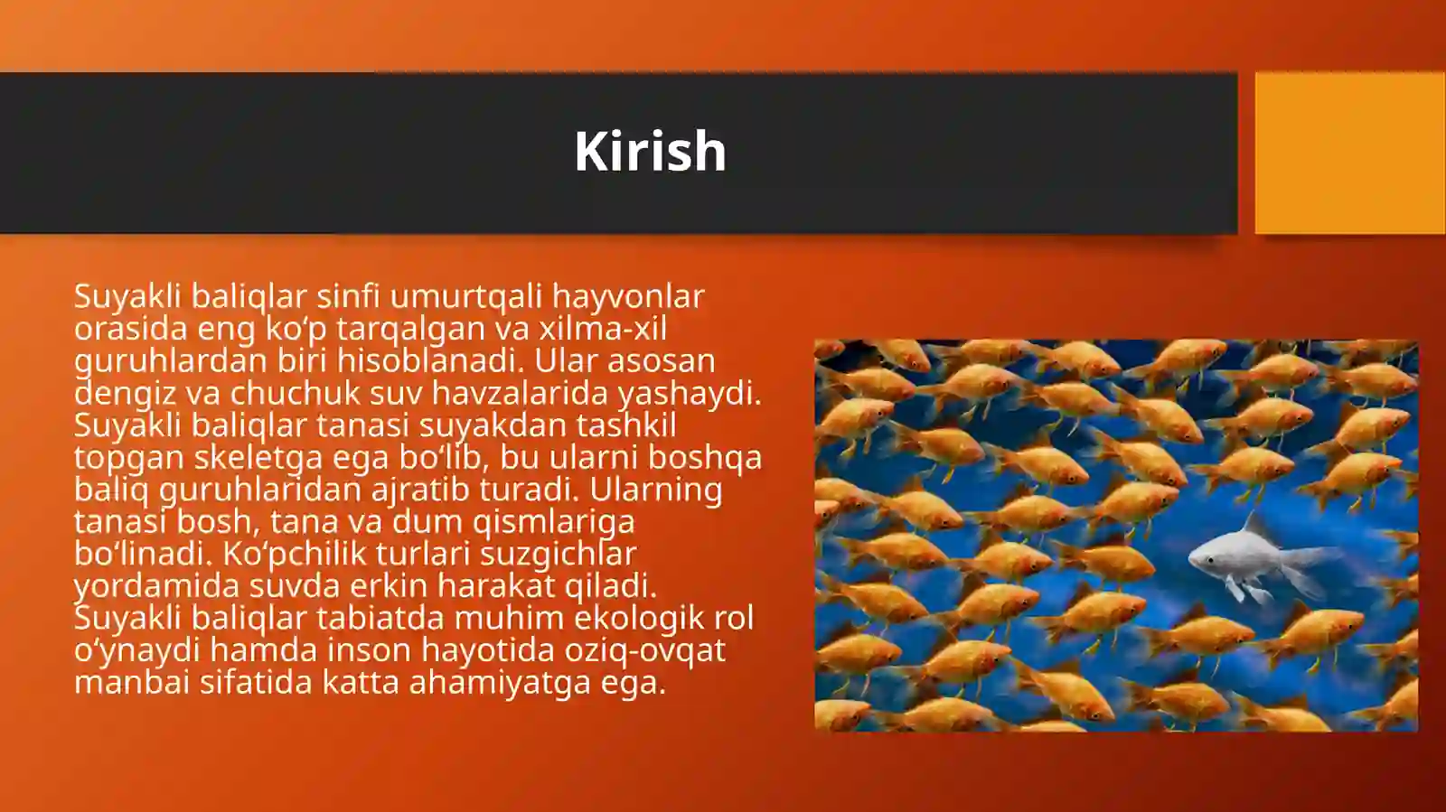 Suyakli baliqlar sinfi. 3