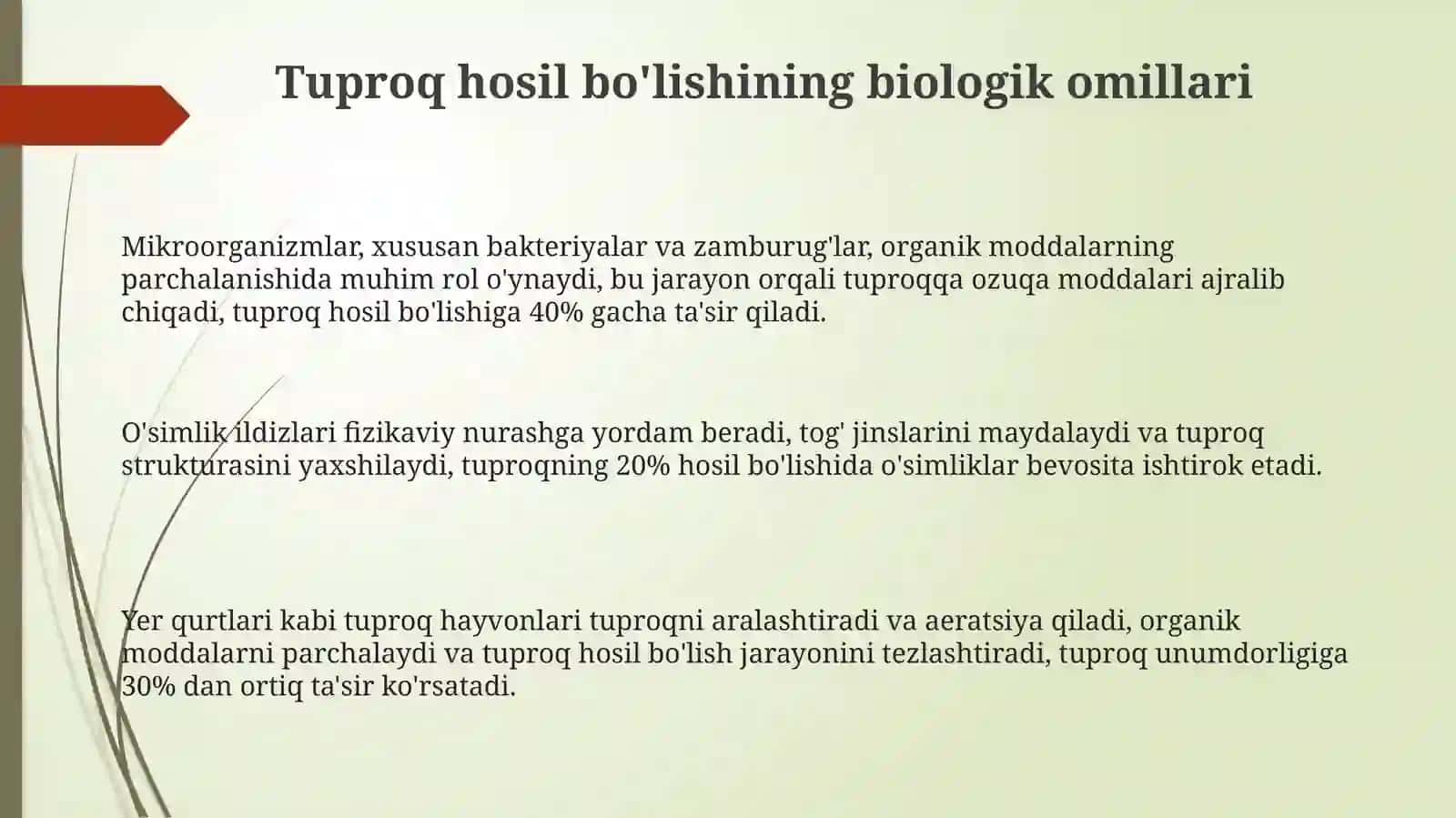 Tuproqhosilboʻlishiningbiologikomillarivatuproqlarningorganikqismi 3