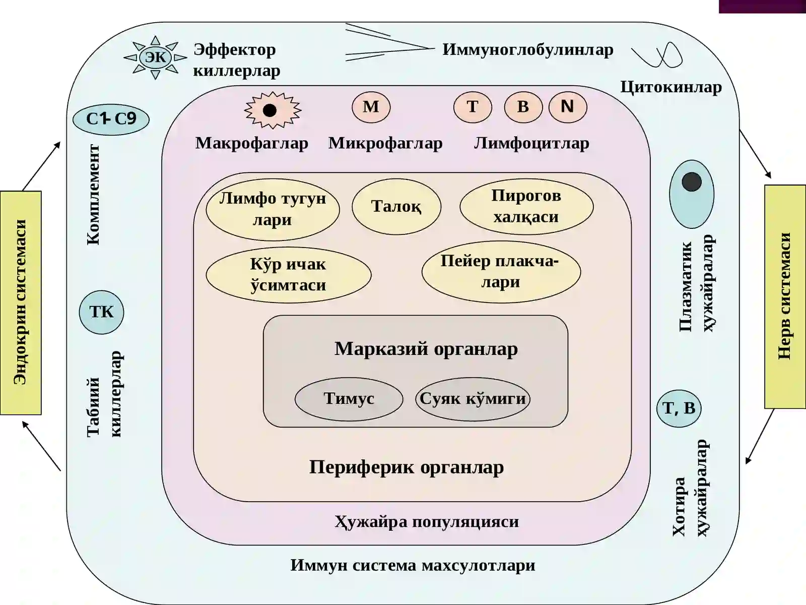 Маъруза 3