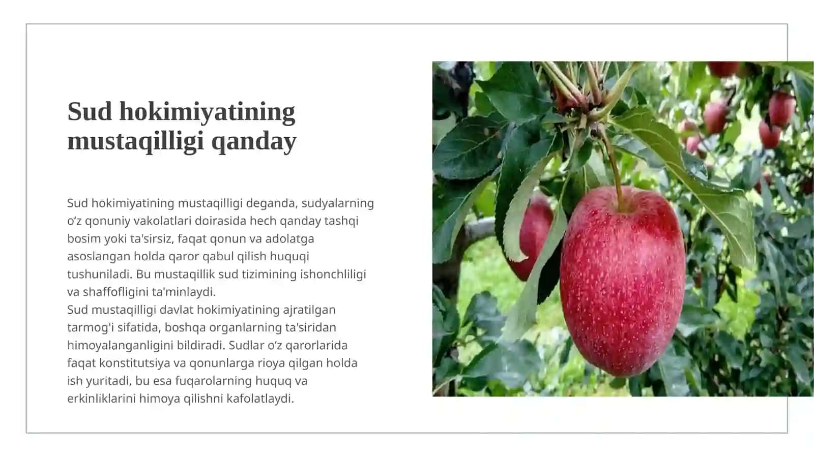 Konstitutsiyada sud hokimiyatining mustaqilligini ta'minlashga oid yangiliklar 3