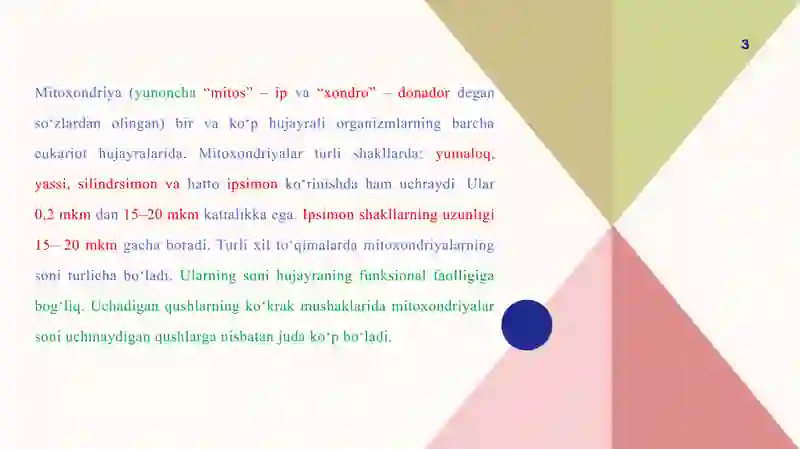 Hujayra organoidlari; 3