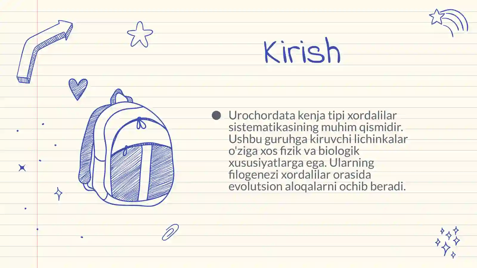 Urochordata Tizimatikasi va Xususiyatlari 3