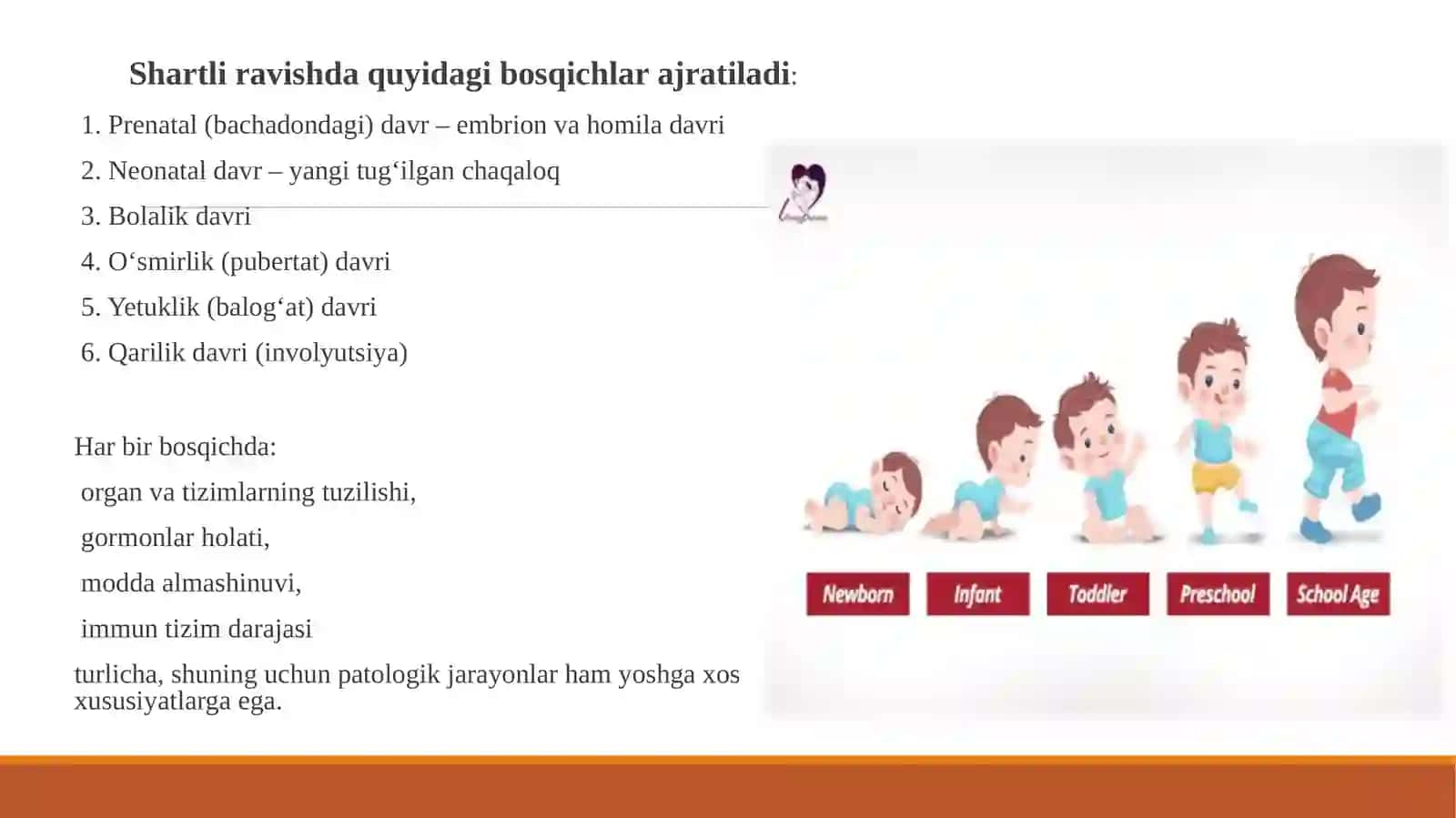 Toshkent Davlat Tibbiyot Universiteti Normalvapatologik fiziologiya kafedrasi 3