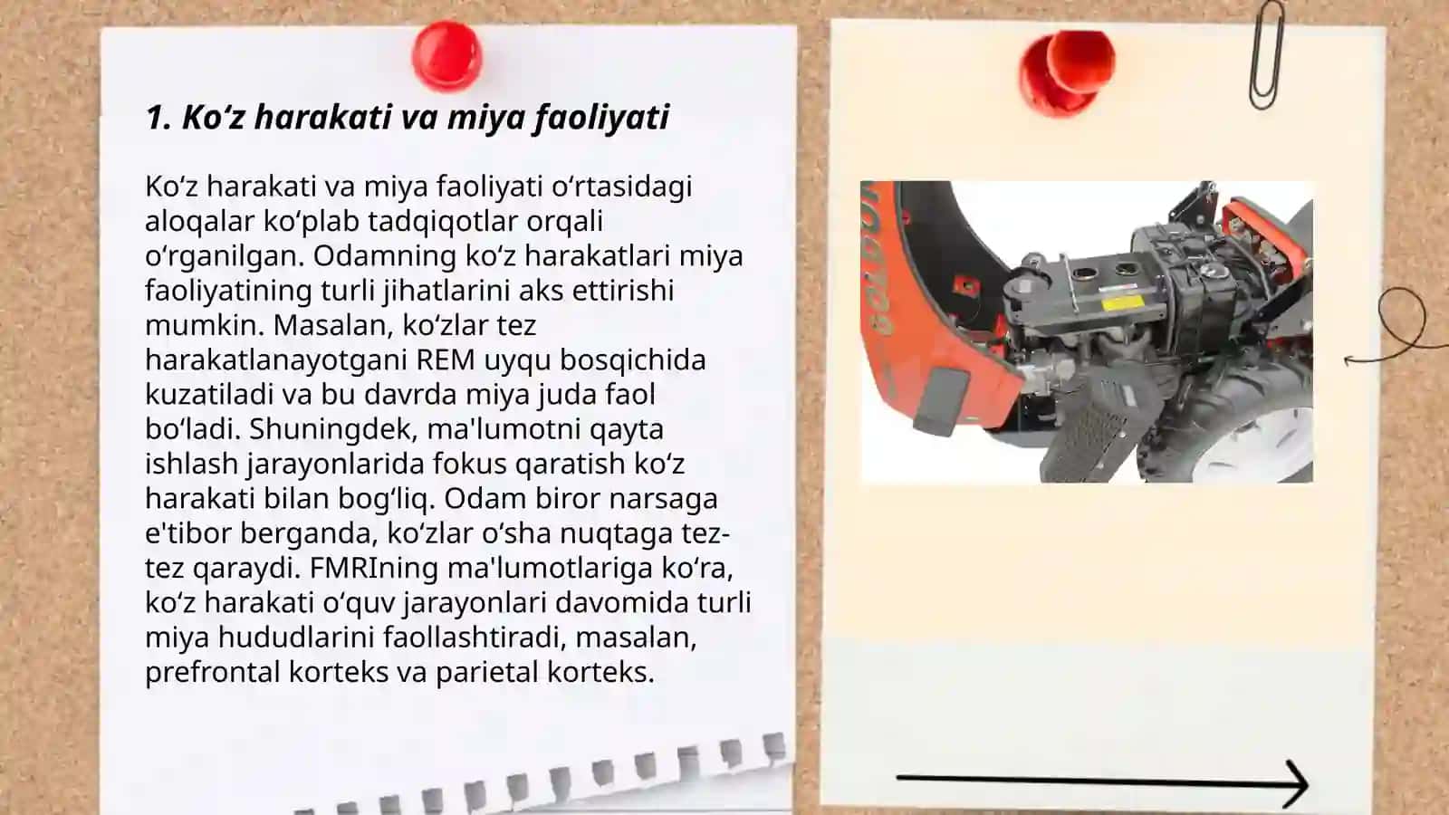 Koʻz harakat reaksiyasi asosida yetakchi reprezentativ tizimini aniqlash 3