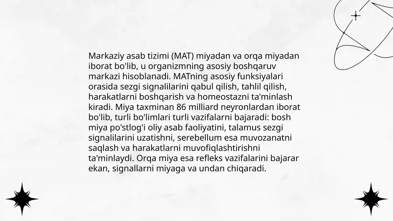 Markaziy nerv tizimining funksional anatomiyasi 3