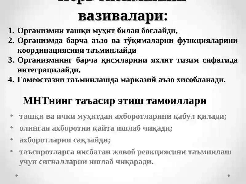 Нерв тизими биокимёси. 3