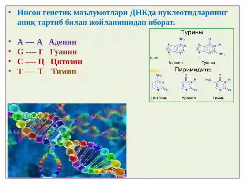 ПАТОЛОГИК АНАТОМИЯ 3