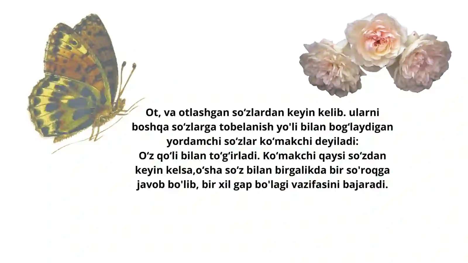 Yordamchi soʻz turkumlari 3