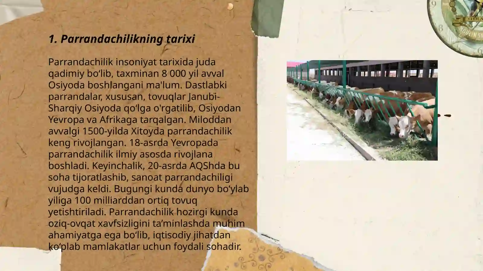 Parrandachilik va chorchachilik 3