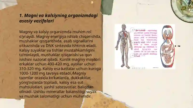 Magni kalsiy ruh organizmdagi ahamiyati 3