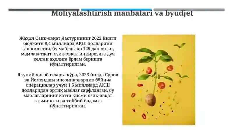 Жаҳон Озиқ-овқат Дастури 3