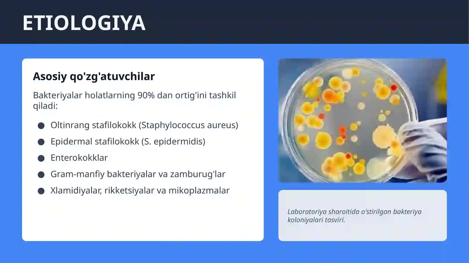 SЕPTIK ENDOKARDIT. AORTAL NUKSONLAR SIMPTOMATOLOGIYASI. AORTAL KLAPAN YETISHMOVCHILIGI. DIAGNOSTIKA. DAVOLASH PRINSIPLARI 3
