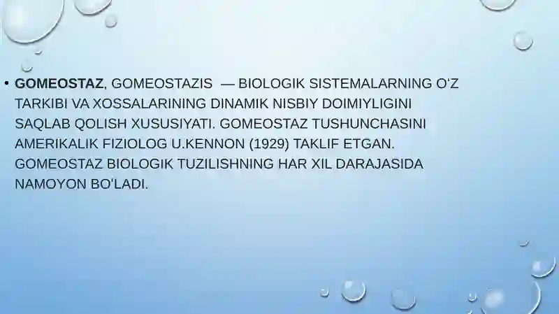 GAMEOSTAZ 3
